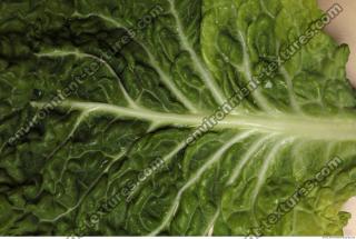 Photo Texture of Leaf Cabbage 0002